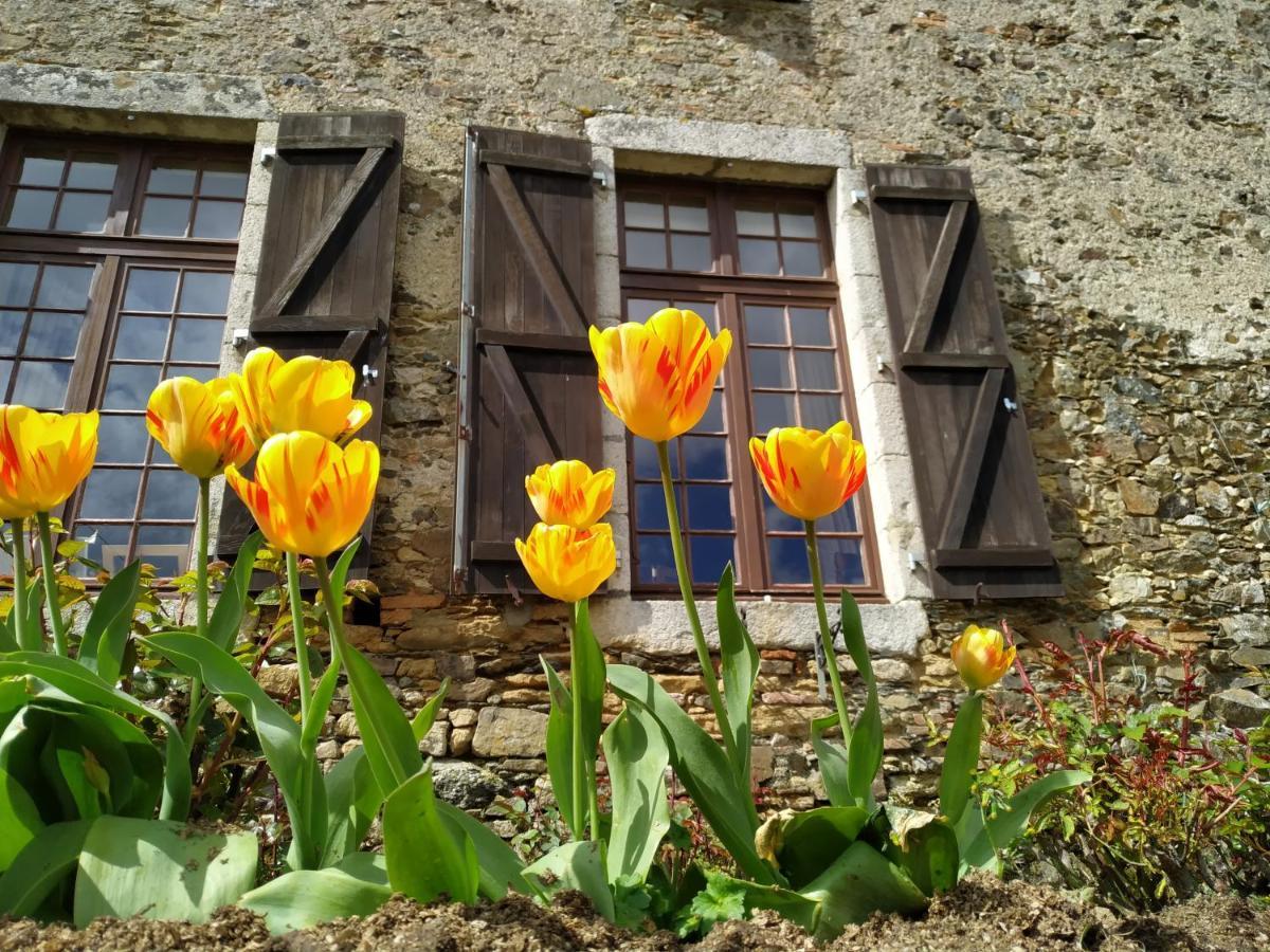 Chambre D'Hote Manoir De La Baudonniere Monsireigne Екстериор снимка